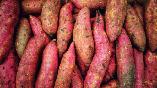 7 Amazing Health Benefits of Eating Sweet Potatoes Every Day — Backed by Science