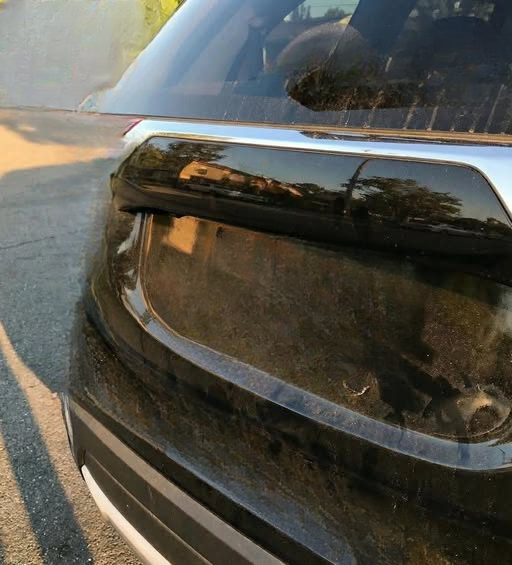 The Personalized License Plate That Sparked Widespread Online Attention