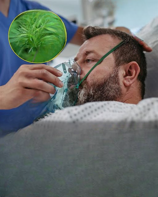 Man describes horrific ‘Scromiting’ reaction as cannabis side effect sends thousands to ER