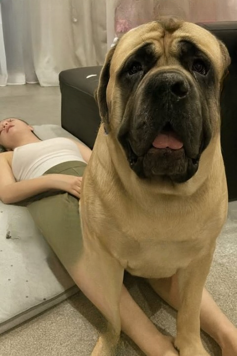 J0ven was hospitalized aft