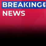 A City Awakened: The Long Night, the Swift Arrest, and a Neighborhood’s Fight to Reclaim Its Peace