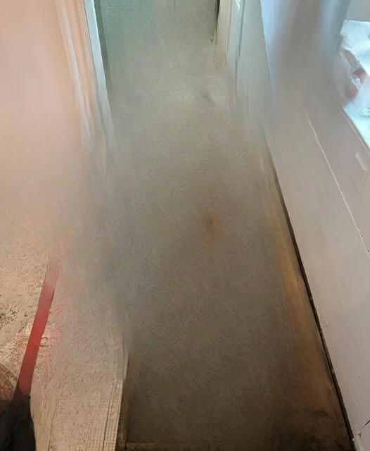 Surprise Beneath the Floor: Unearthing a Hidden Piece of History