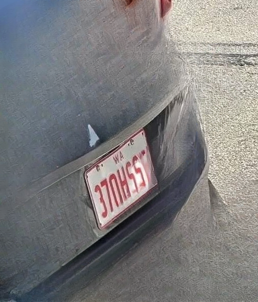 The Fascinating World of Vanity License Plates: Small Messages With Big Stories