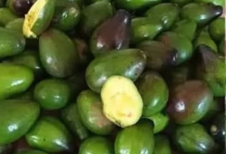 Doctors Reveal That Eating Avocado Causes Powerful Changes in Your Body