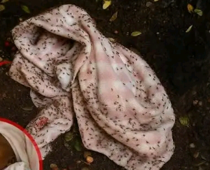 What Authorities Discovered Sparked Nationwide Outrage