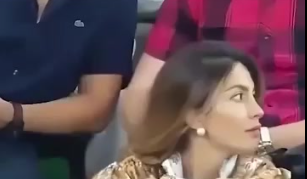 25 Times Sports Fans Stole the Spotlight With Wild Moments in the Stands