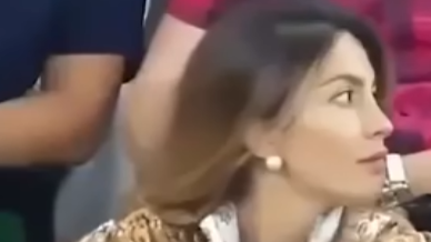 25 Times Sports Fans Stole the Spotlight With Unforgettable Moments in the Stands