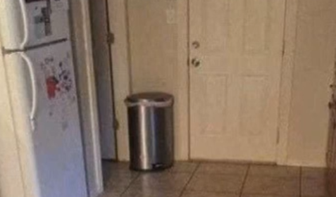 Can You Spot the Hidden Dog in This Kitchen?