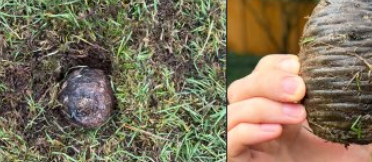 At First It Looked Like an Ancient Artifact — But the Truth Was Much Simpler