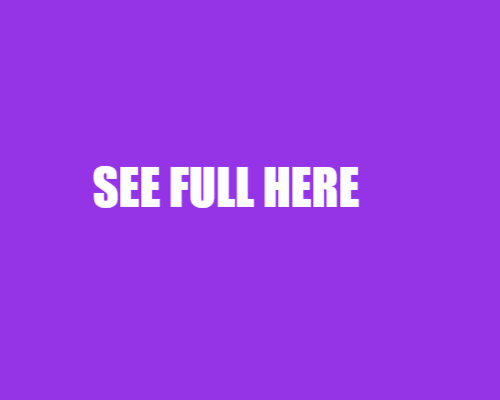 What a Purple Flag at the Beach Really Means
