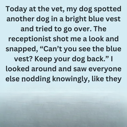 Why Some Dogs Wear Blue Vests, Bandanas, or Leashes: What It Means and How to Respond