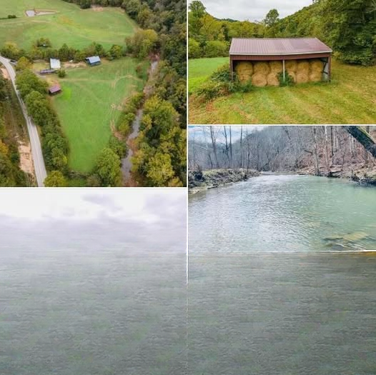 A Unique 77+ Acre Property in Kentucky Offering Space, Versatility, and Long-Term Potential
