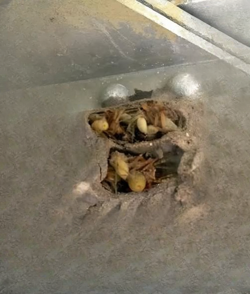 I Went to the Garage for a Simple Task — and Noticed Something Unusual