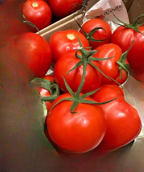 Doctors Explain What Happens When You Eat Tomatoes Regularly — Surprising Health Benefits You Should Know