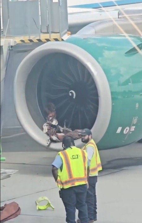 Frontier Aircraft Incident at Charlotte Airport Causes Major Delay After Ground Equipment Damage