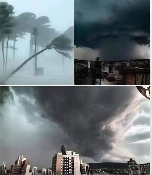 A Powerful Earthquake and Tsunami That Changed a Nation