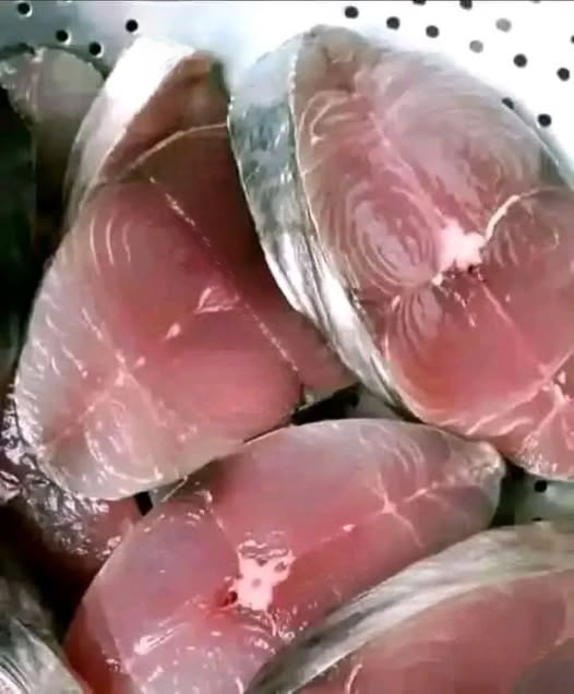 Health Alert: What You Need to Know About Fish Consumption and Toxins