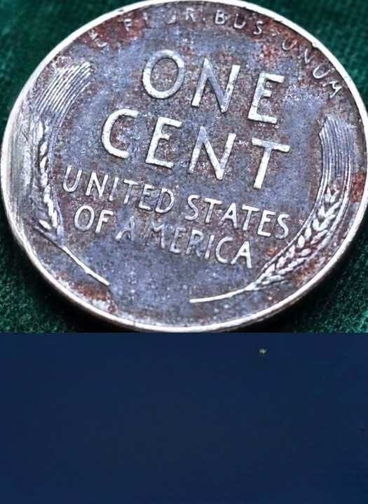 Check Your Change: The Fascinating World of Rare Pennies and Coin Collecting