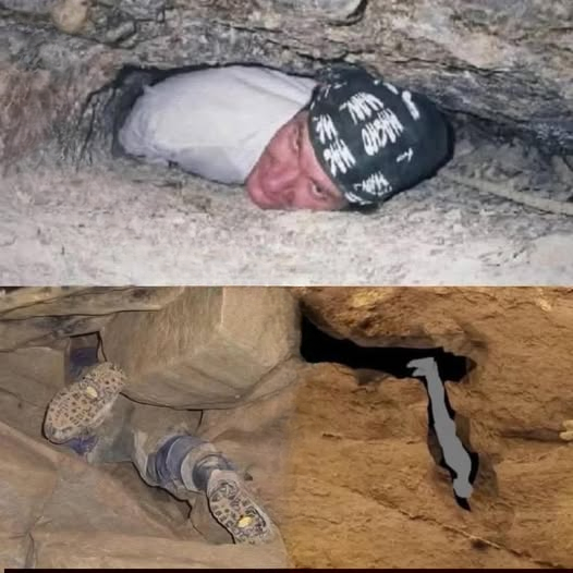 They Found Him and Tried to Rescue Him, But This…” – Understanding the Truth Behind Viral Headlines