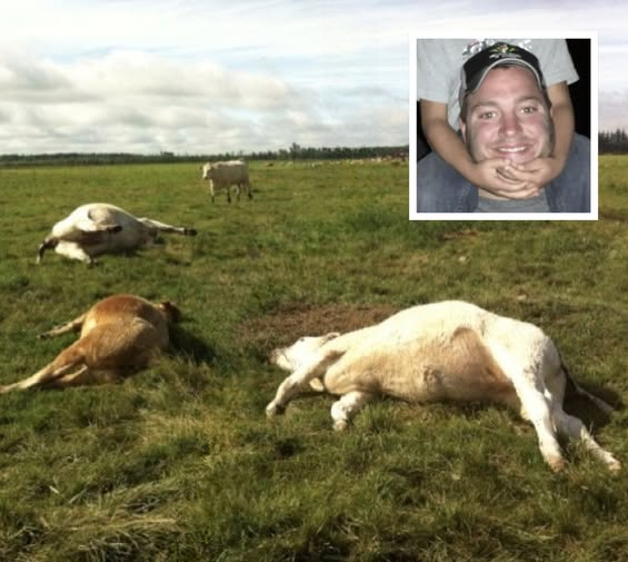 Tragic Farm Accident in Wisconsin Highlights Dangers of Manure Gas