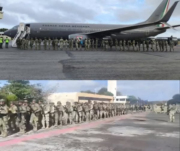 Mexico on High Alert: Armed Forces Mobilized