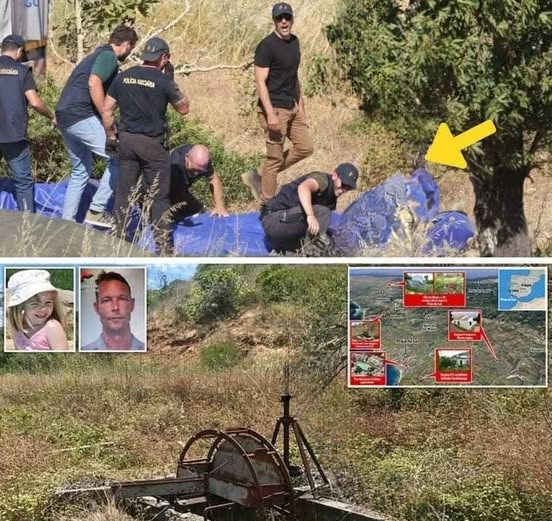 Missing Girl Found in the Woods — The Truth About Who Helped Bring Her Home