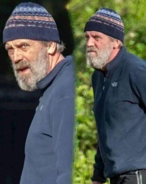 At 62, Hugh Laurie Looks Unrecognizable: What’s Changed?