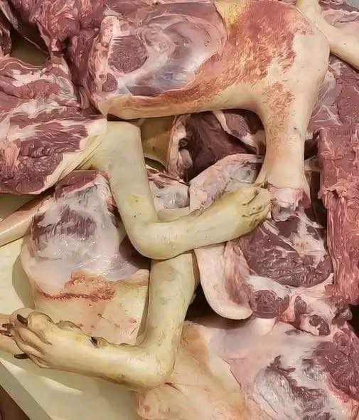 Breaking News Misunderstood: What Really Happened With the California Meat Arrest