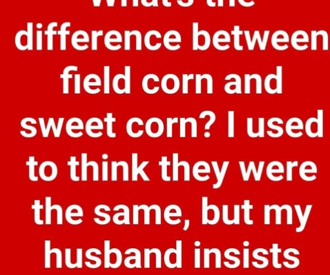 Field Corn vs. Sweet Corn: Understanding the Key Differences