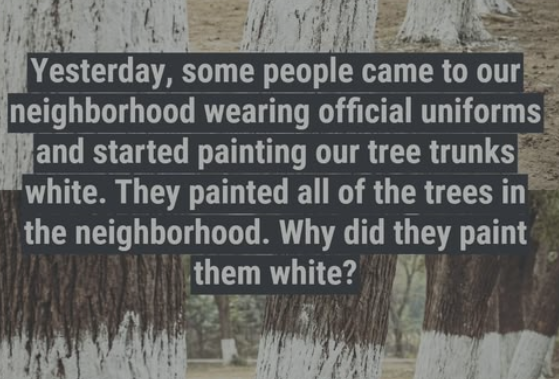 White Coats on Trees: Why Experts Are Painting Orchard Trunks This Season