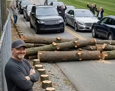 They Removed My Trees for a Better View — What Happened Next Changed Everything