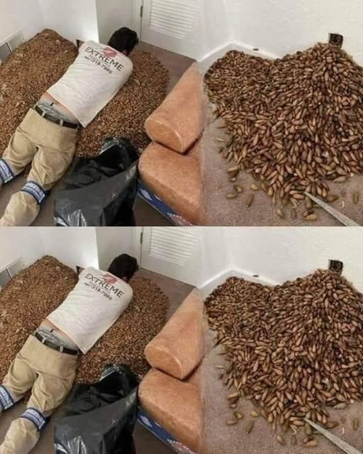 He Noticed a Terrible Smell—What He Found Inside the Wall Shocked Everyone