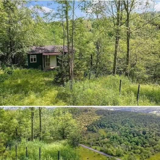 $19,000 No Neighbors, No Noise — Price Cut by $6K: A Hidden Nature Escape