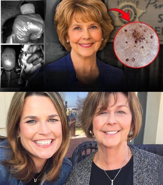 DNA Analysis Update in Nancy Guthrie Case Raises New Scientific Questions