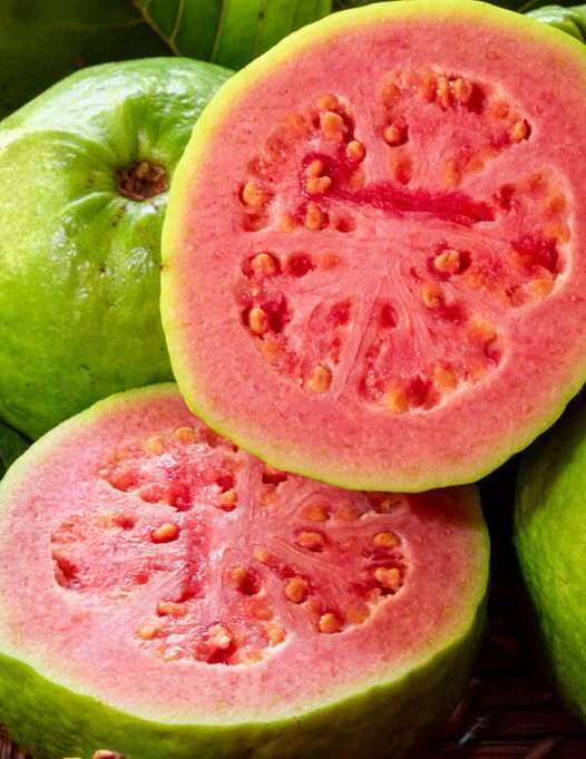 Doctors Reveal What Guava Leaf Tea May Do for Your Body: A Natural Wellness Trend Explained