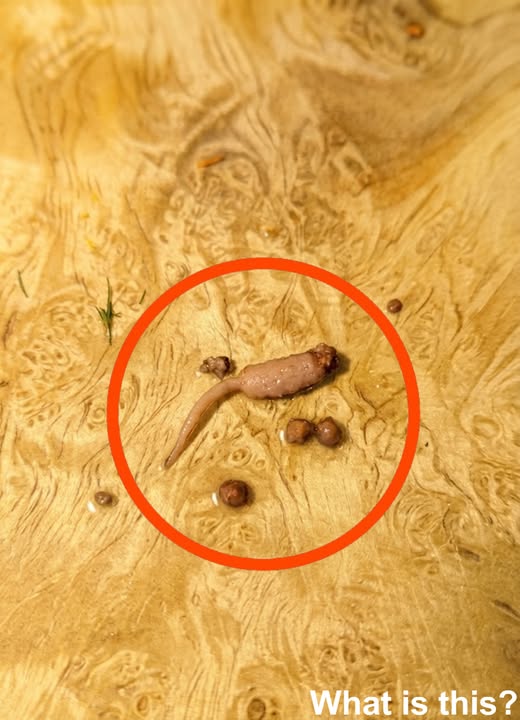 I Was Cooking Ground Beef When I Noticed Something Strange — Here’s What It Really Was