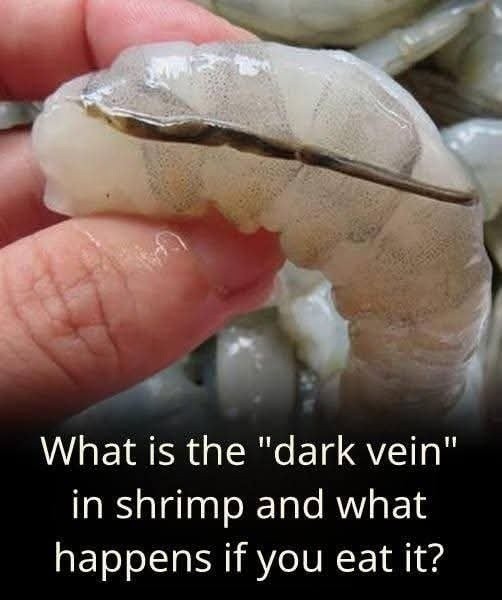 What Exactly Is the “Shrimp Vein” and Should You Remove It?