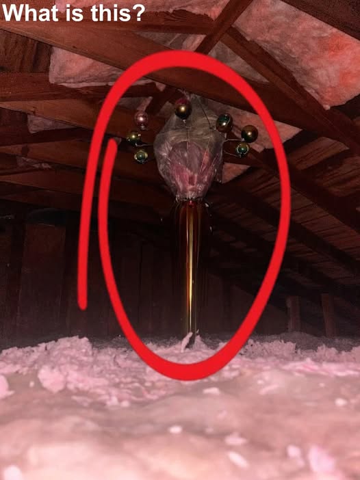 We Found a Mysterious Object Hanging in a 1960s Attic—And It Turned Out to Be Something Unexpected