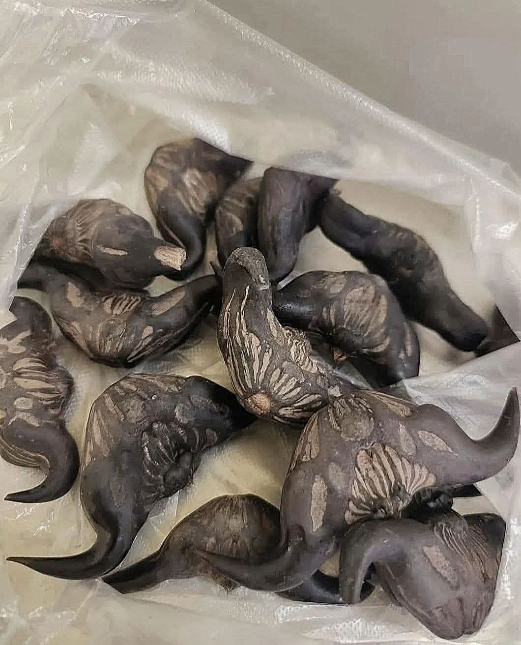 My Neighbor Gave Me a Bag of These — What Are They and How Do You Eat Them?