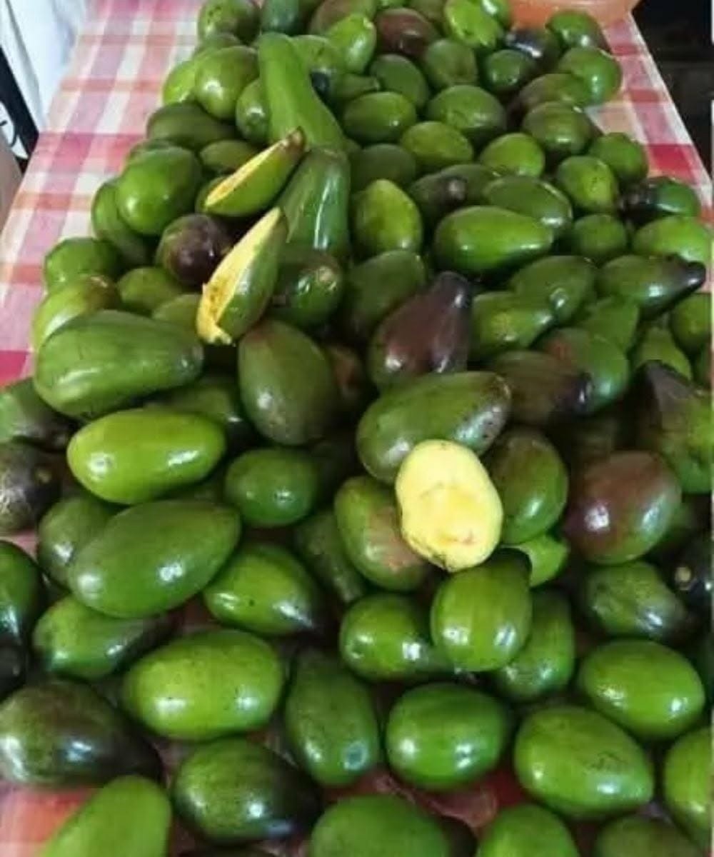What Happens to Your Body When You Eat Avocado Regularly?