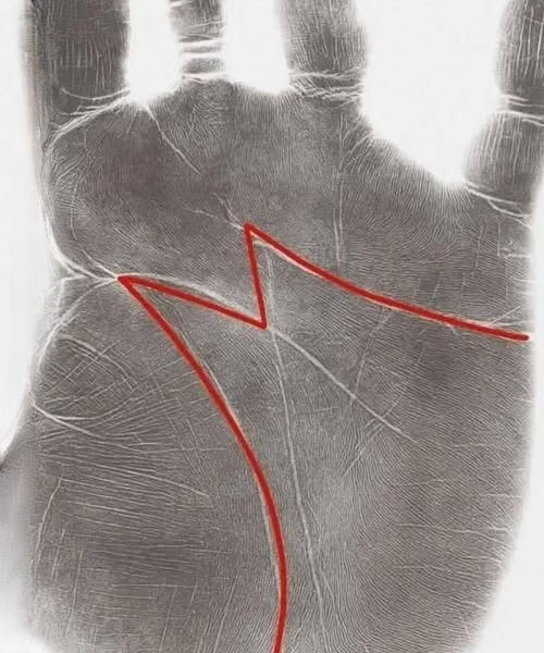 The “M” in Your Palm: Myth, Meaning, and What Science Actually Says