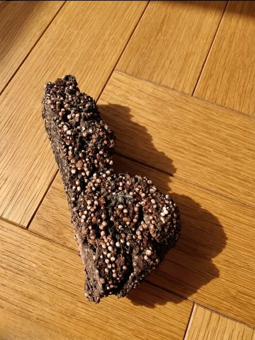 I Found This in My Son’s Room—He Swears He Doesn’t Know Where It Came From