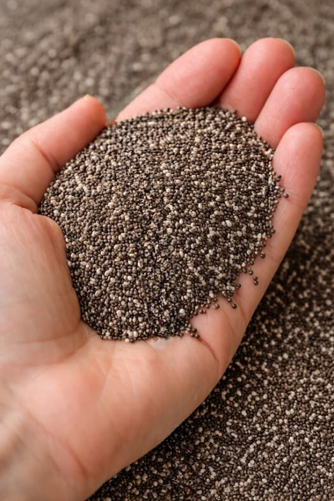 Chia Seeds: Health Benefits, Nutrition, and How to Use Them Daily