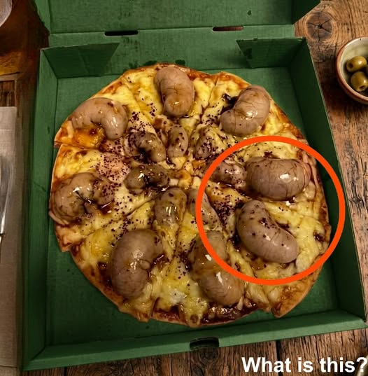 I Almost Didn’t Eat My Pizza… Until I Discovered the Truth Behind Those Strange “Blisters