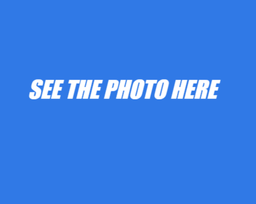 The Photo That Sparked a Wave of Online Reactions