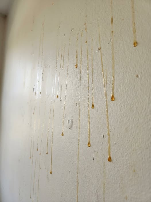 Yellow Liquid Dripping Down Your Bathroom Walls? Here’s What It Could Mean