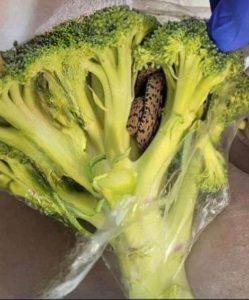 3 Vegetables That Support Cancer Prevention — What Science Actually Says