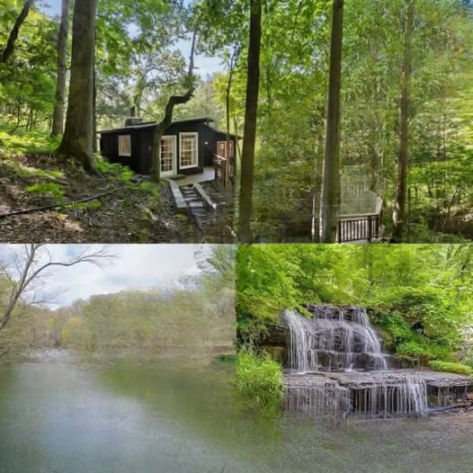 Private Cabin Retreat in Fairview Offers Peace, Acreage, and Lakeside Charm