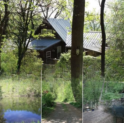 Peaceful Mountain Cabin on 9.25 Acres Near Shenandoah National Park