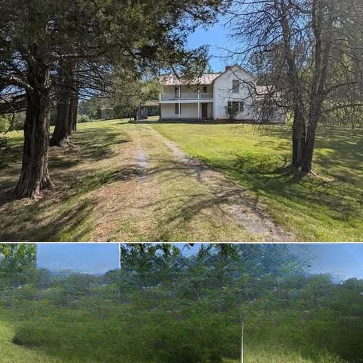 Fixer-Upper Home on Over 4 Acres Near Rocky Mount Offers Space, Privacy, and Potential